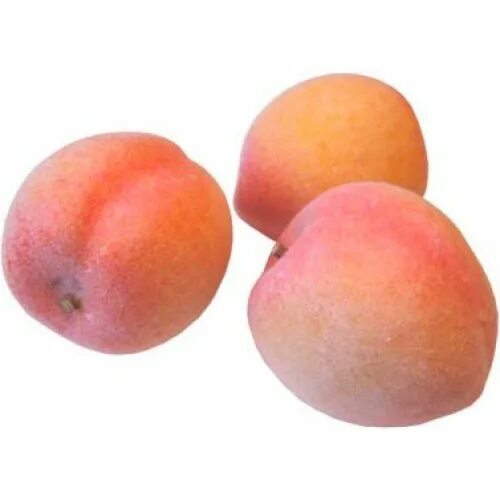 сорт персика новоселковский. урожай персиков. персик бархатный. сорта персика позднего срока созревания. персик бархатный.