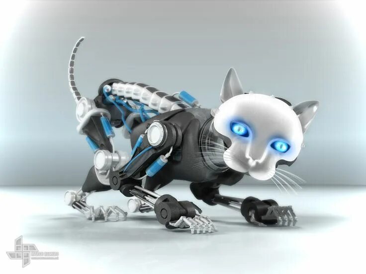 Robot Cat Изображения: просматривайте стоковые фотографии, векторные изображения