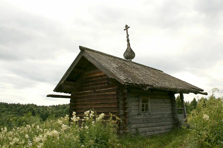 Церковь Илии пророка в Ведягино. Часовня в Федово Плесецкого района Архангельской области. Ведягино Архангельская область. Изба Коковка Плесецкий район. Погода конево архангельская область на неделю