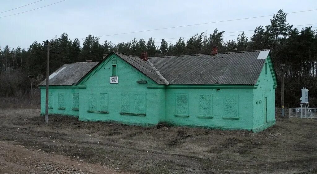 Сосновый бор платформа. Сосново ленинградская область вокзал. Автокемпинг сосновый бор ленинградская область. Сосновый бор вокзал. Жд станция калище сосновый бор.