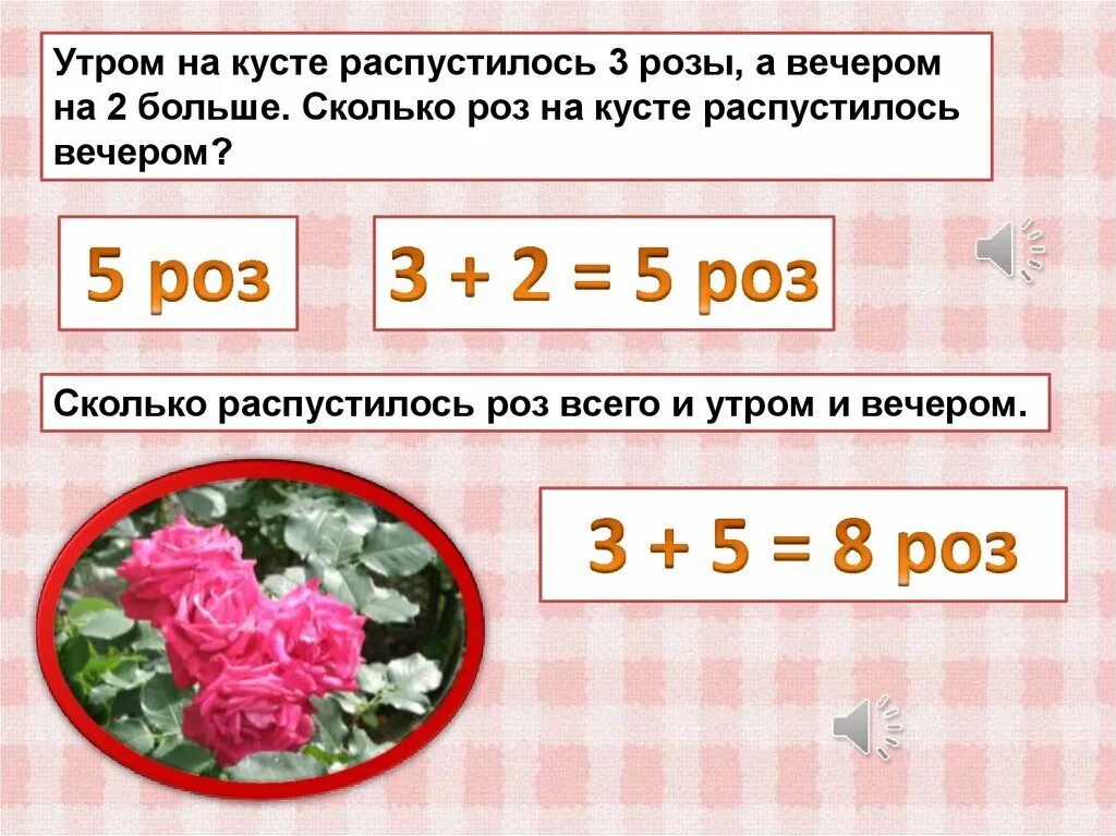 Сколько роз в россии. Сколько роз. Сколько роз в одном кусте. Утром на одном кусте распустилось 14 роз а на втором. Сколько розочек растет на кусте.