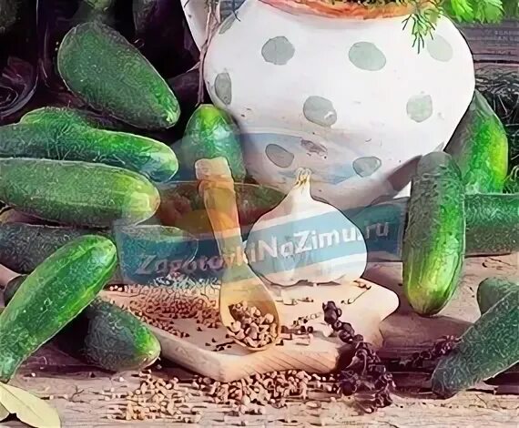 Хорошие семена огурцов для засолки
