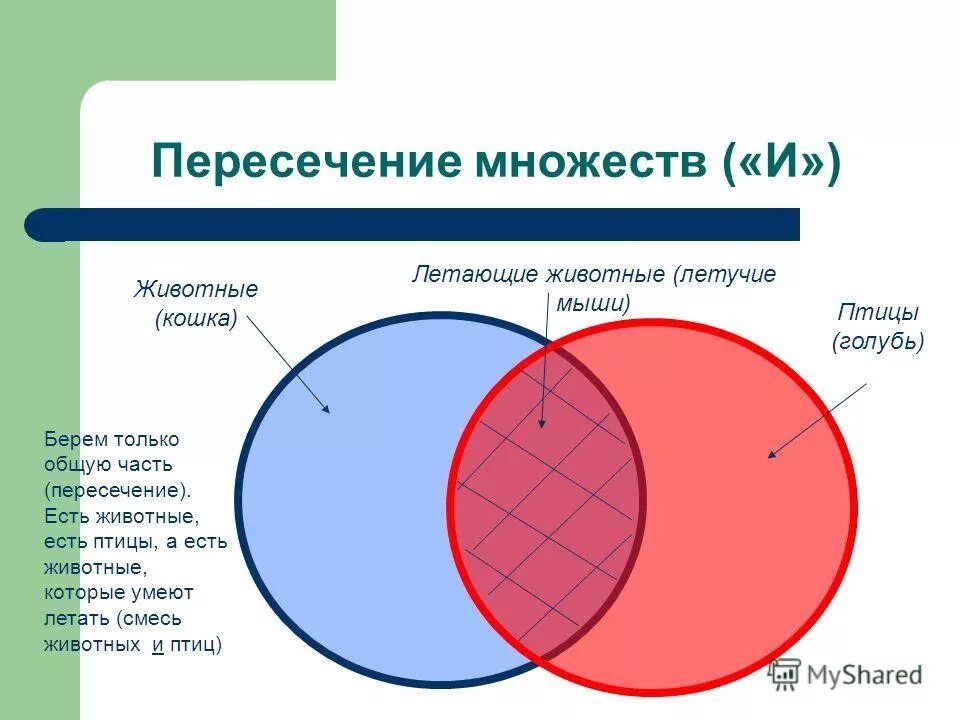 Остановиться множество