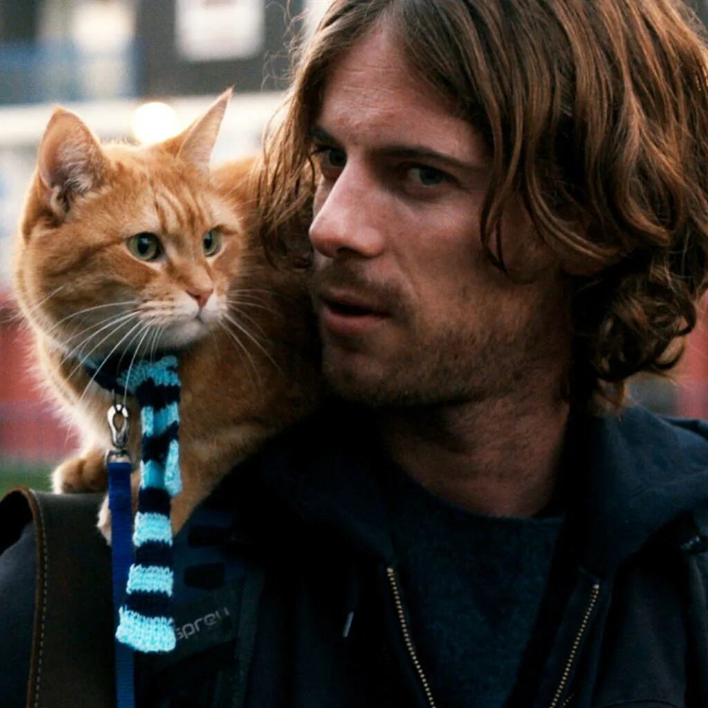 уличный кот боб 2