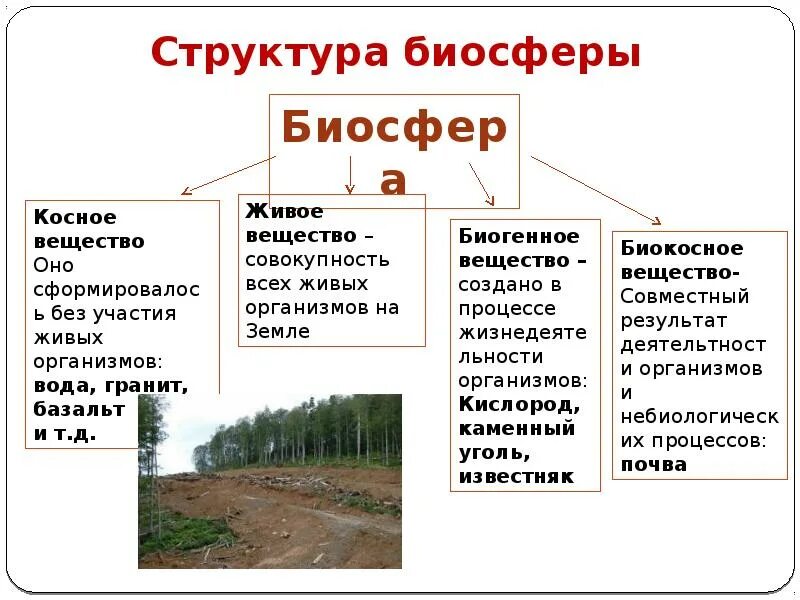 Биосфера т