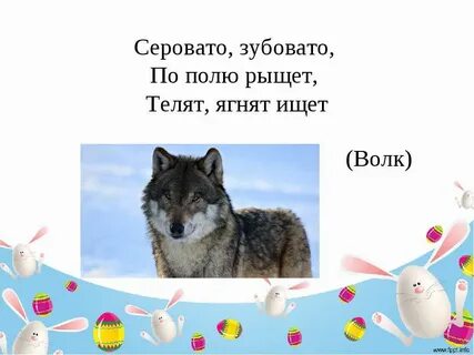 Ответы на волка на русском