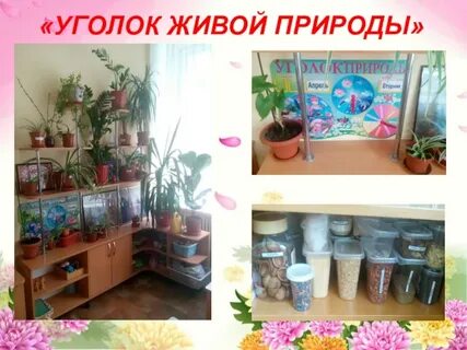 Угол жив