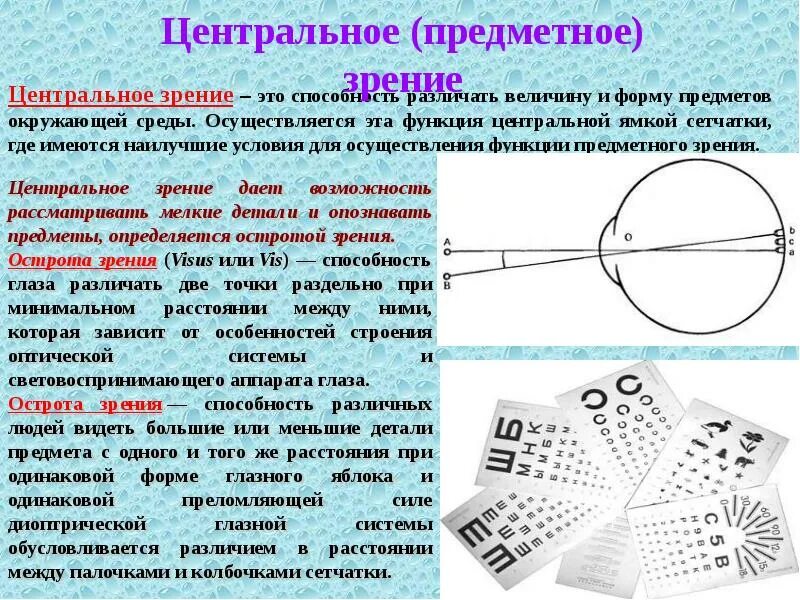 Центральный что такое за центральный. Укажите симптомы центрального паралича. Процессор слайд. Центральный что такое за центральный. Процессор компьютера презентация.