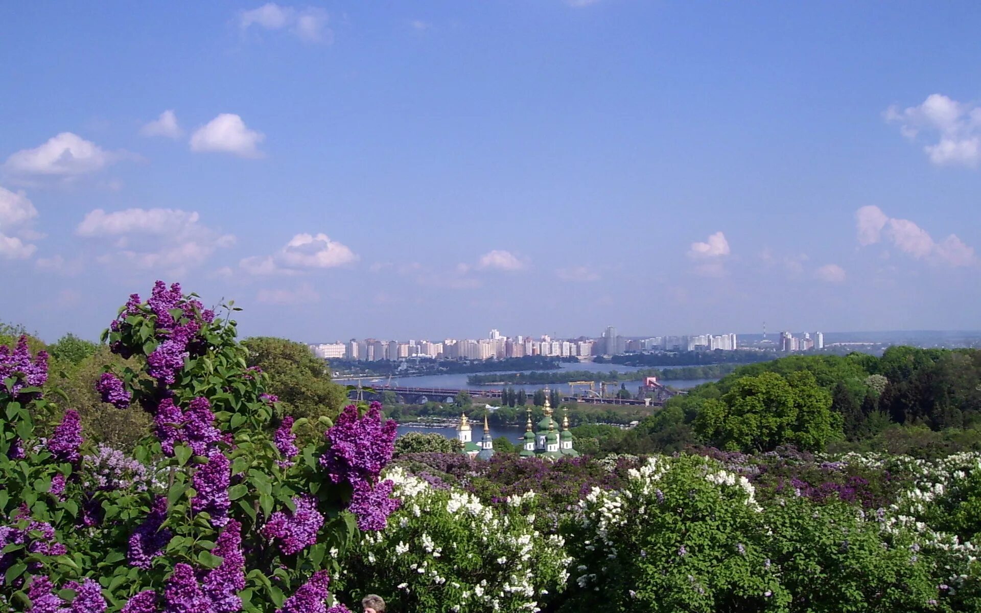 Ботанический сад Киев. Сирень Киев. Сирень в городе. Сирень панорама. Сирень море