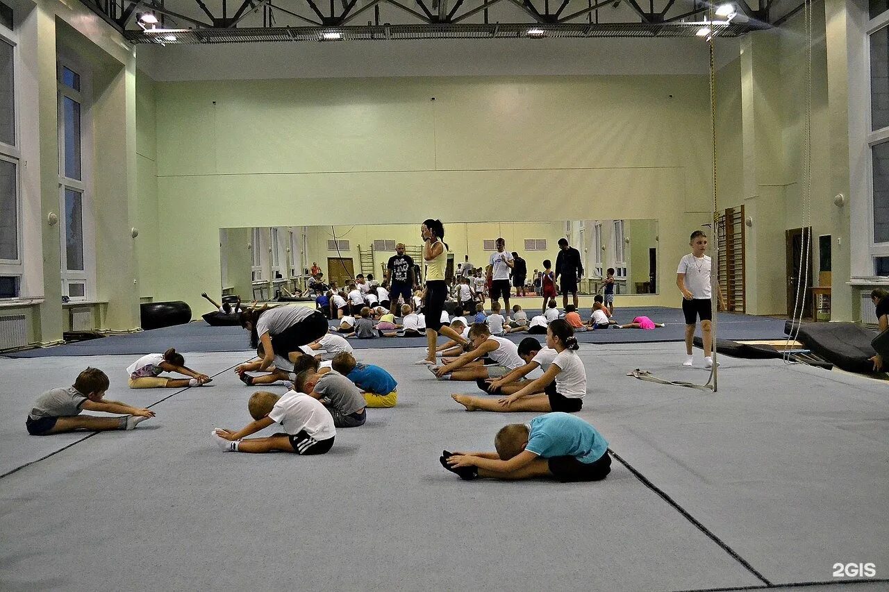 Адреналин фитнес клуб курск. Спортзал адреналин жуковский. Адреналин чебаркуль тренажерный. Спортклуб адреналин георгиевск. Эффект от введения адреналина.