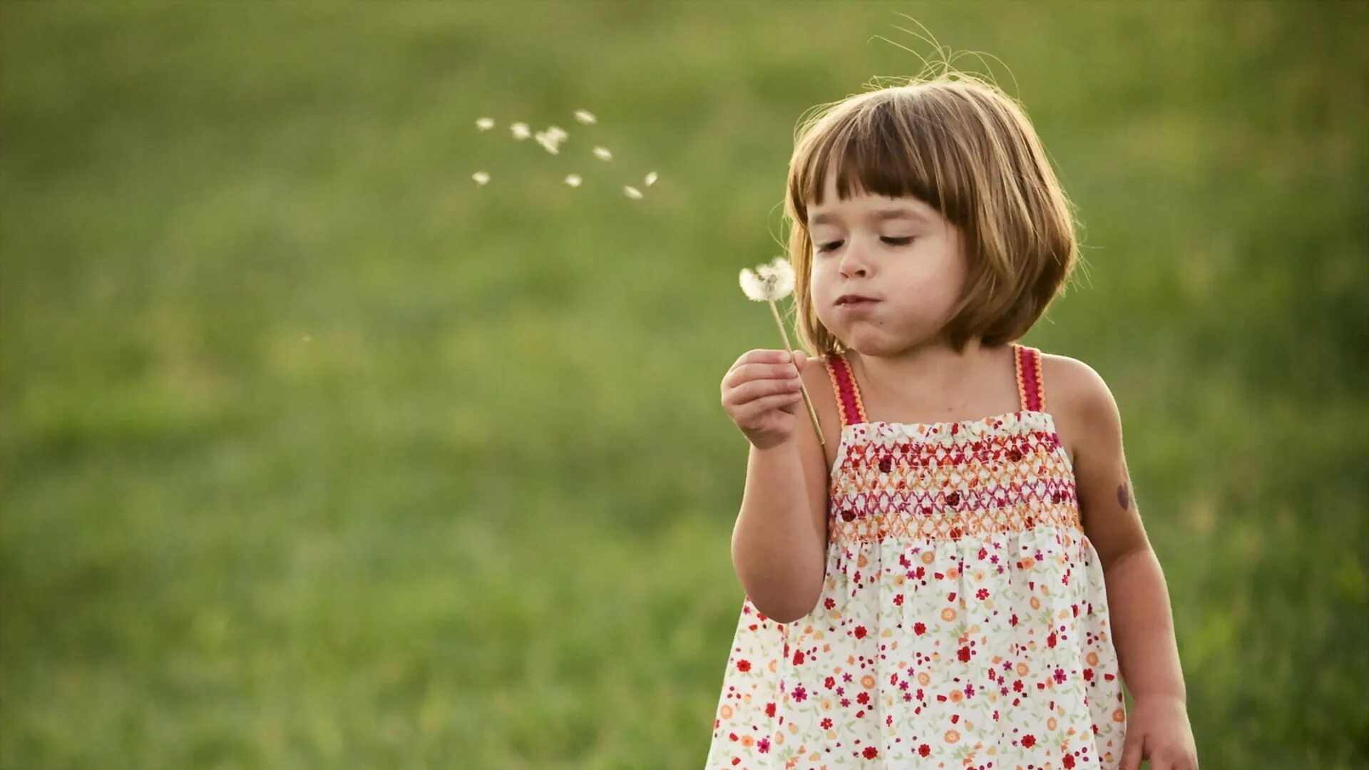 Child focus. Девочка. Ребенок девочка. Девочка картинка для детей. Девочка настроение.