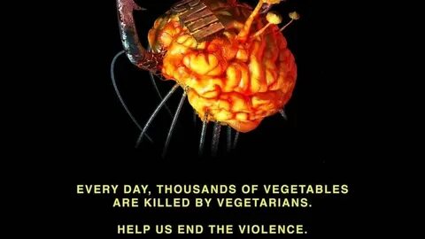 Infected mushroom converting vegetarians