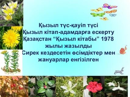 Әлемдегі ең ұсқынсыз пизда фото