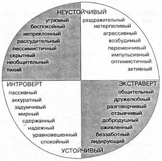 Интроверт пройти тест