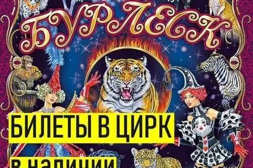 Билеты в цирк Никулина. Билеты в цирк Москва. Билеты в цирк на Вернадского. Рисовать билеты в цирк. Матрешка цирк никулина билеты