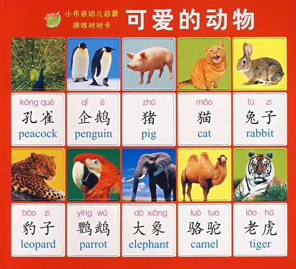 Плакаты для изучения китайского языка. Карточки с китайскими животными. Карточки для изучения китайского. Карточки на китайском для детей.