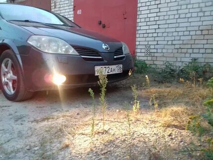 Лампочки ниссан примера р12 какие