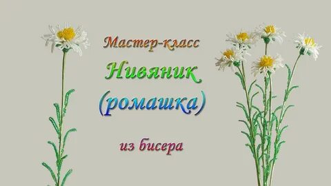 Мастер класс ромашки ромашки цветы полевые