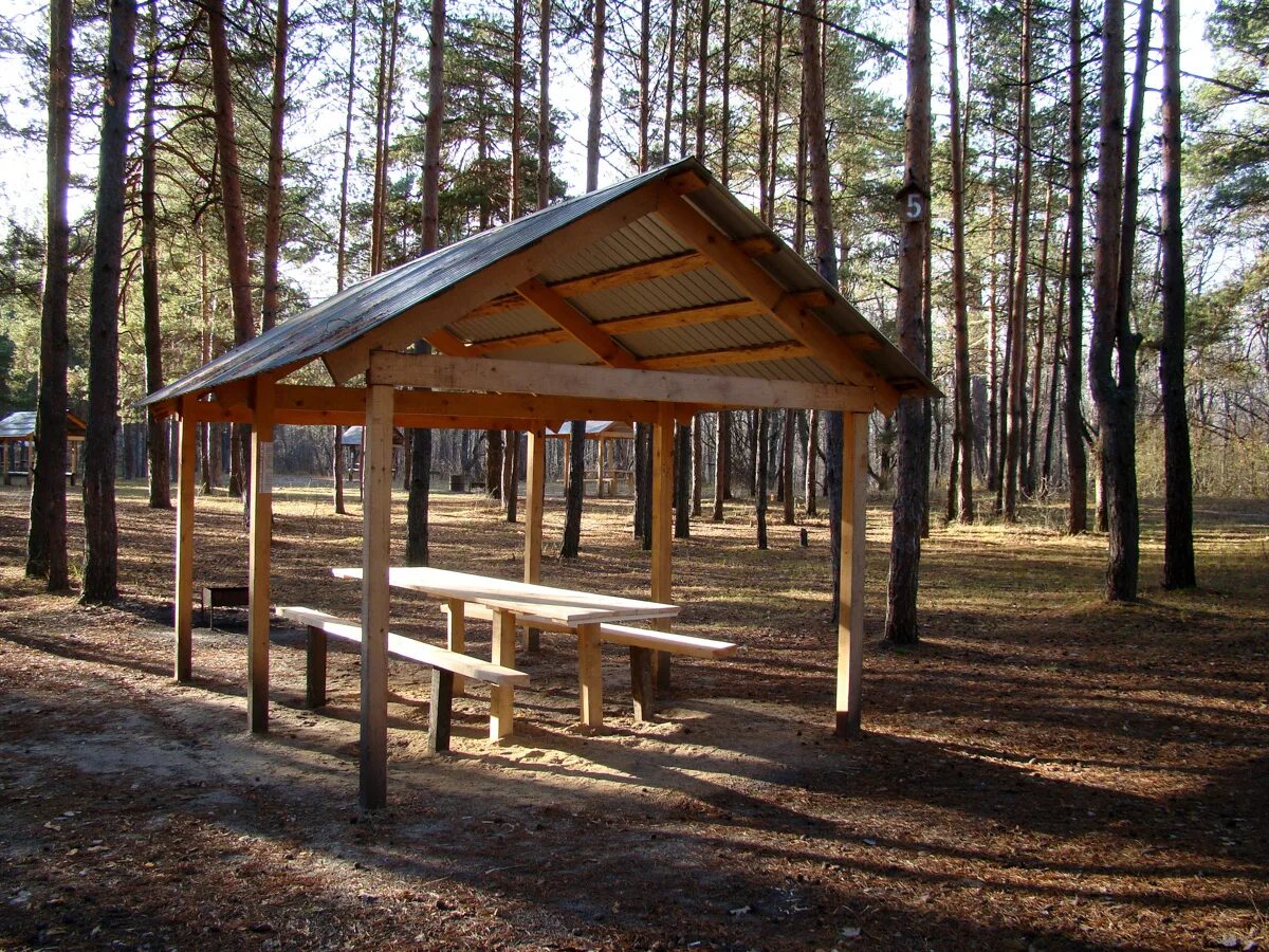 Пикник аренда беседок. Загородный парк во Владимире беседки.