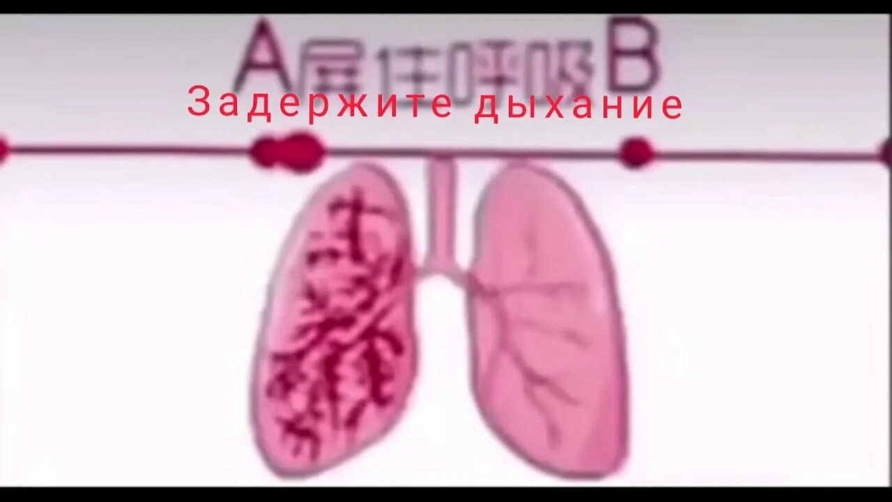 Дыхательные тесты легких. Тест на дыхание. Тест на проверку легких.