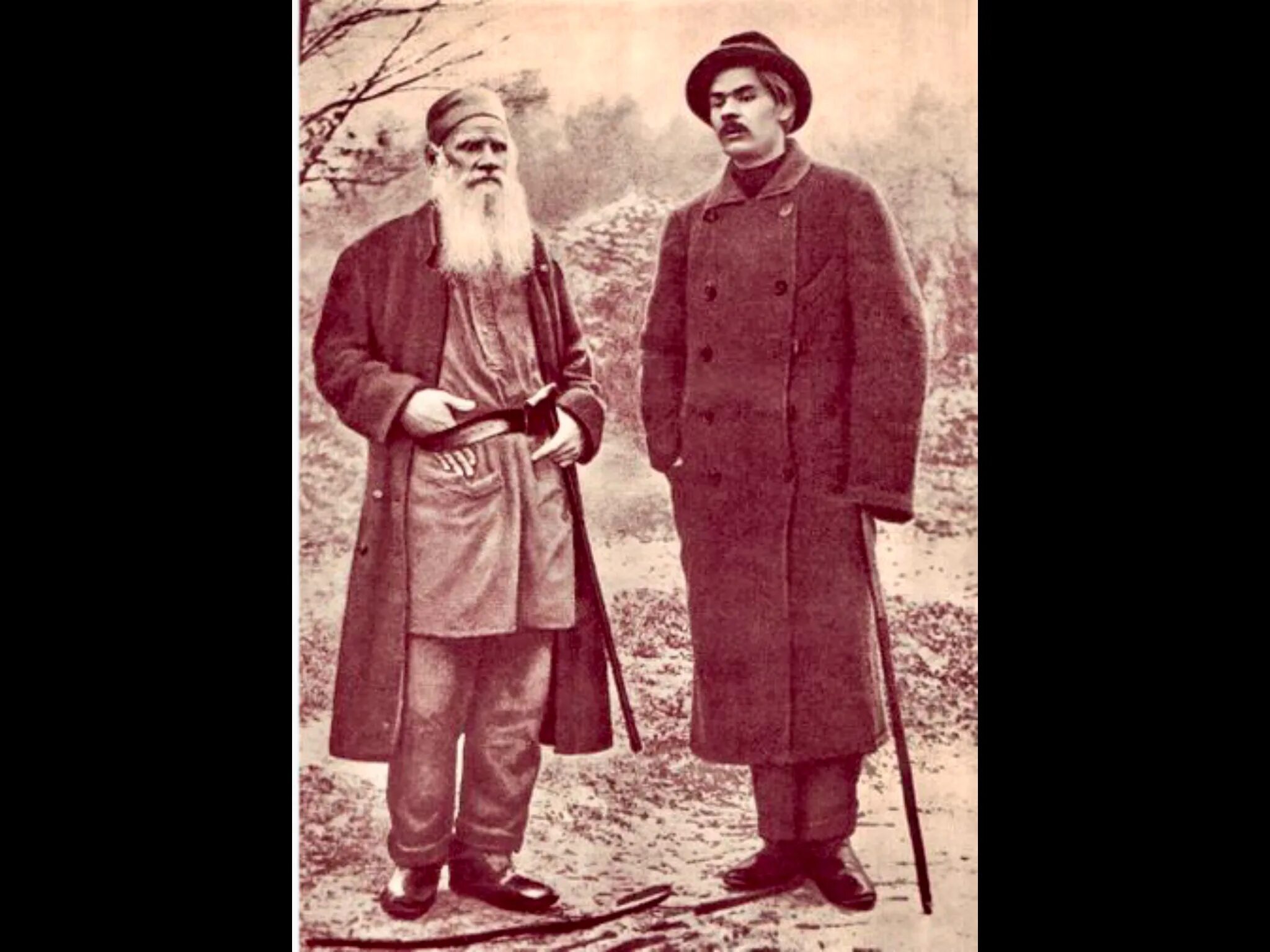 Лев толстой и горький. Горький и чехов. Сравнительная характеристика горького и толстого. Горький чехов и толстой. Сравнительная характеристика горького и толстого.