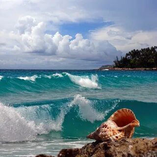 Как называются разные моря
