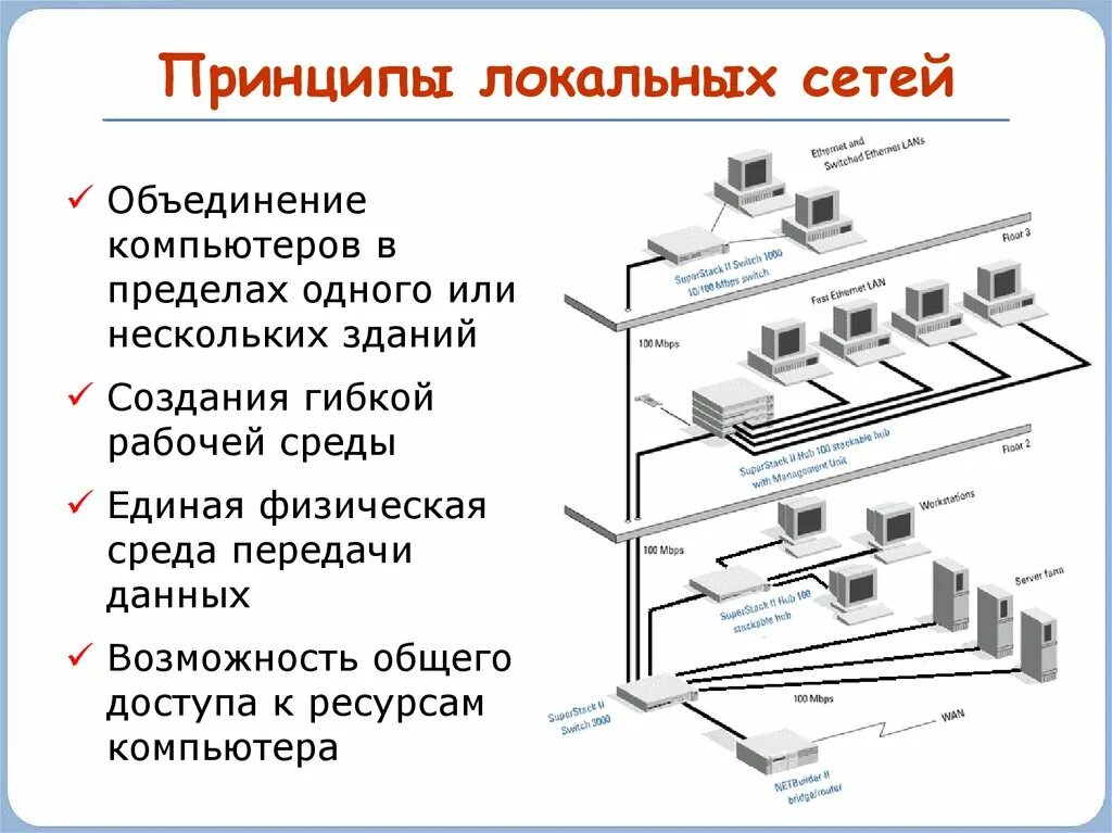 Принципы организации локальных компьютерных сетей. Принцип построения локальной сети. Принцип работы ЛВС. Общие принципы построения локальных вычислительных сетей. Компьютерная сеть компании