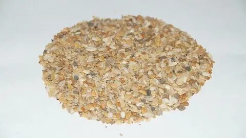Ракушки для несушек