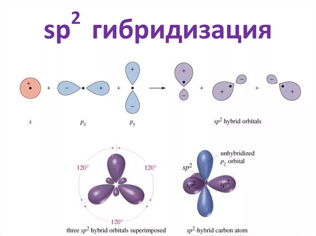 Фенол sp2 гибридизация. Sp3 гибридные орбитали. Sp2 гибридизация угловая. Гибридизация sp3 sp2 SP органическая химия. Sp2 гибридизация углерода.