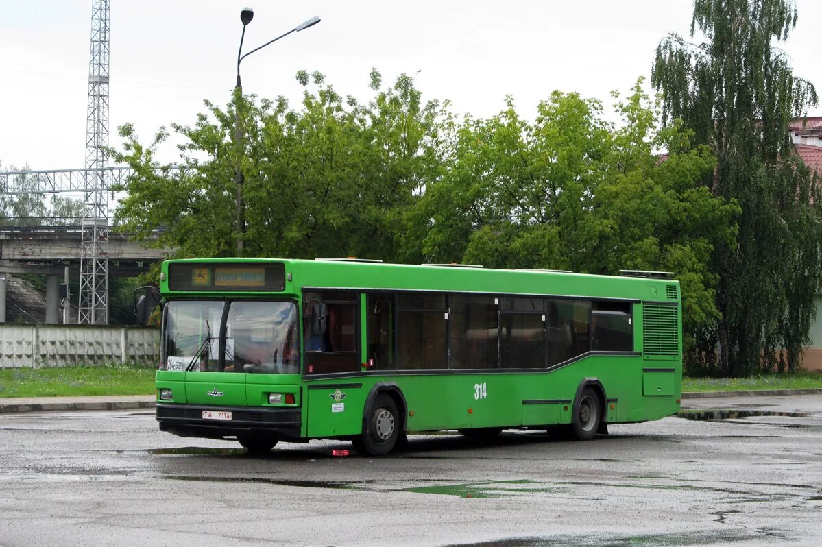 МАЗ 303. МАЗ 303 Бобруйск Комкур. Автобусы Бобруйск. Автобус 14 Бобруйск.