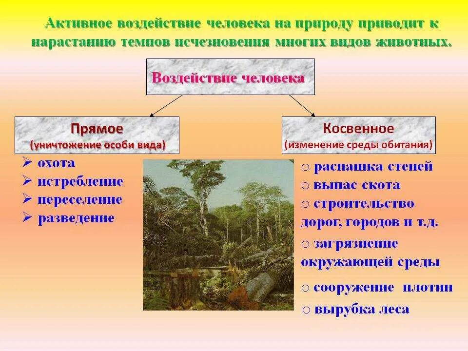 Человек оказывает влияние на окружающую среду. Влияние человека на природу. влияние человекатна прирду. влияние деятельности человека на природу. отрицательное воздействие человека на природу.