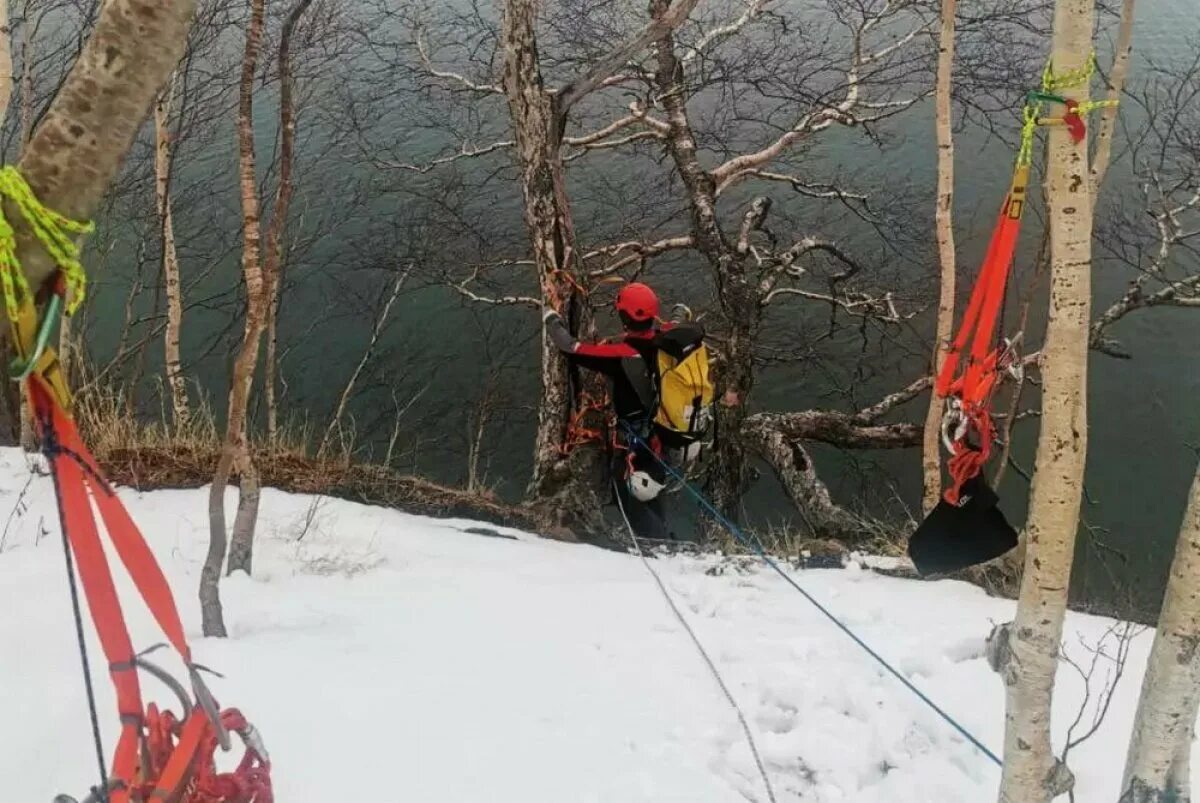 Новости камчатка март. Никольская сопка Камчатка. Спасатели спасают пострадавшего. Заповедник сопка Никольская. Никольская сопка Петропавловск-Камчатский.