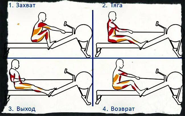 Тренажер гребля как правильно