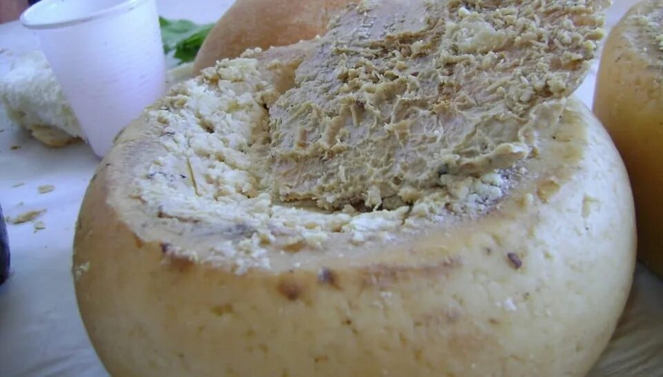 Сардинский касу марцу. Касу марцу итальянские сыры. Сыр casu marzu италия. Сыр casu marzu италия. Кацу марцу.
