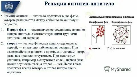 Антитела к антигенам сальмонелл