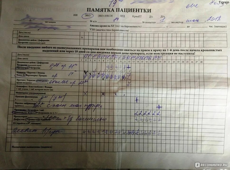 Протокол стимуляции эко. Полудлинный протокол эко. Схема короткого протокола эко. Что такое протокол при эко. По дням коротком протоколе