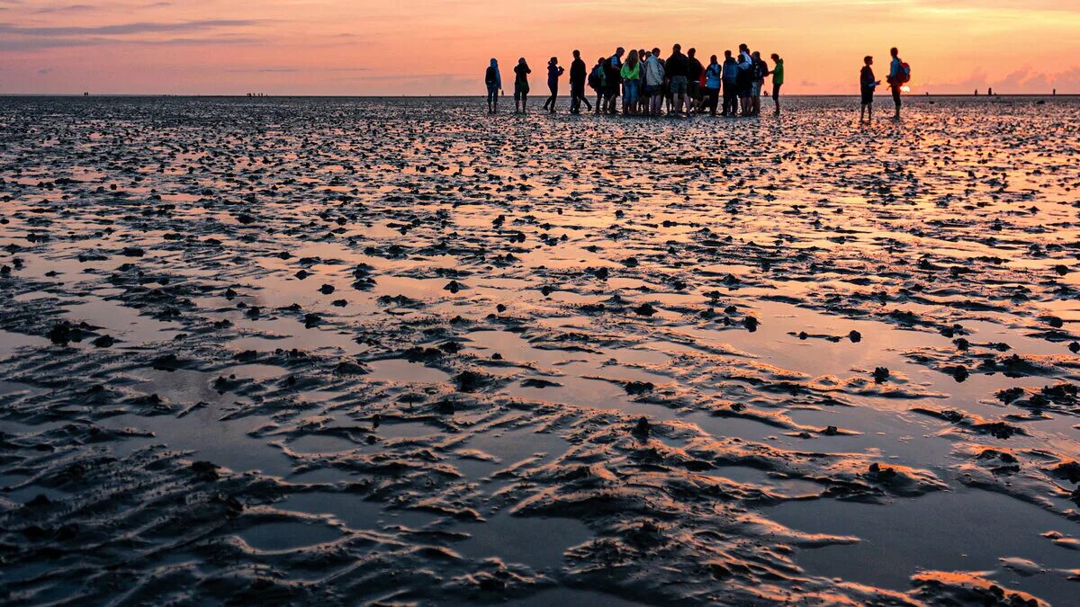 Ваттовое море северное море. Вадденское море (wadden sea). Ватты география. Национальный парк шлезвиг-гольштейнские ватты. Литоральные осадки.