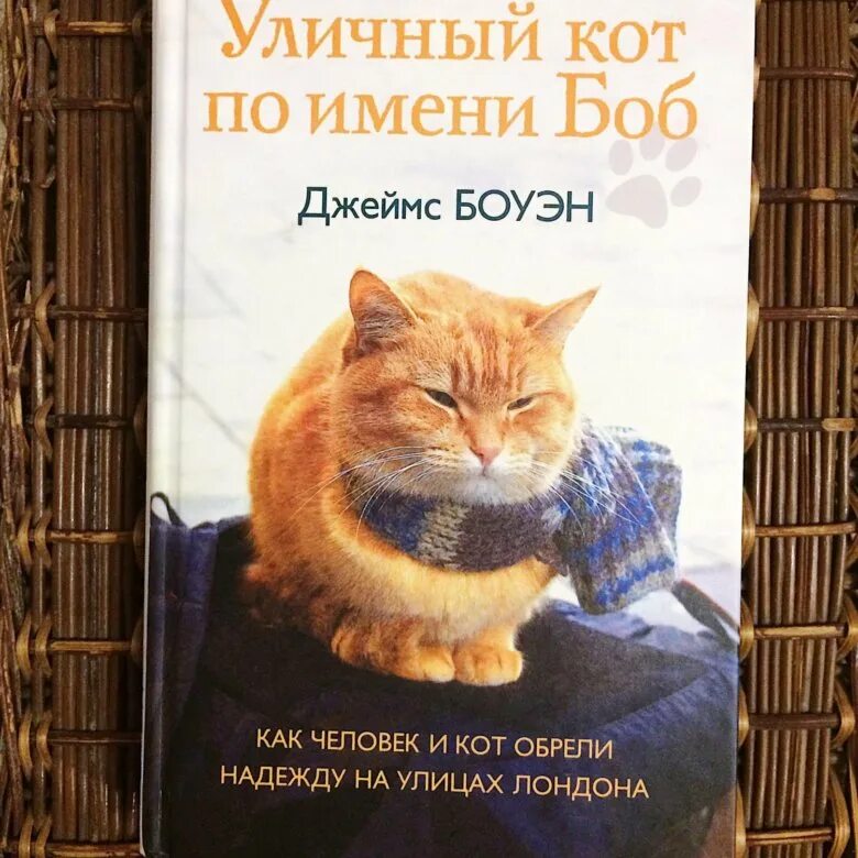 Книга про боба. Уличный кот по кличке Боб. Уличный кот по имени Боб Рипол Классик.