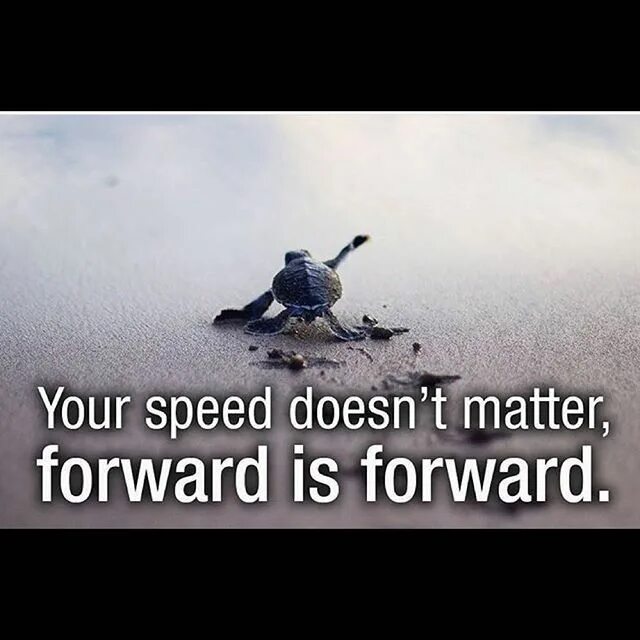 He to be a forward. Forward turtle motivation picture.