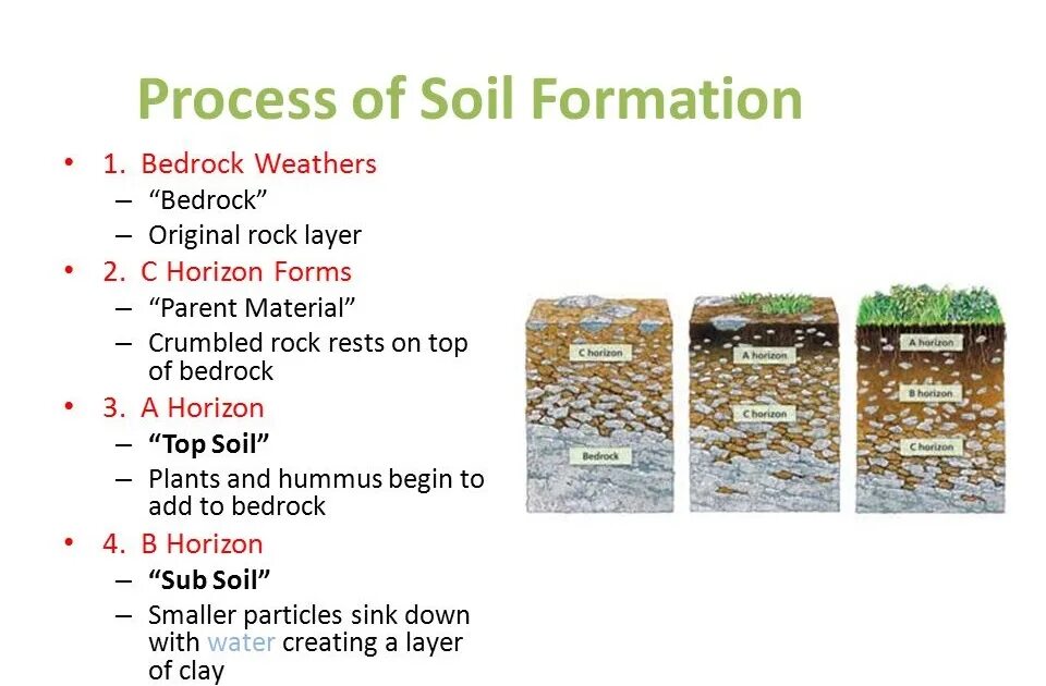 Soil processing. Soil formation. soil formation processes. soil formation tips. soil sampling process.