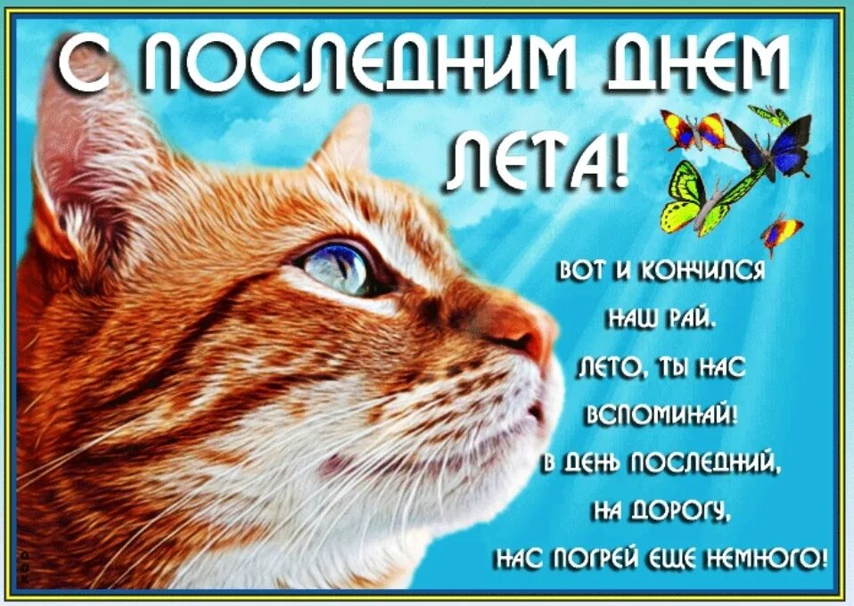С последним днем лета своими словами