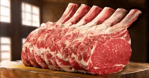 Tanya xola haqida porno filmlarni tomosha qiling