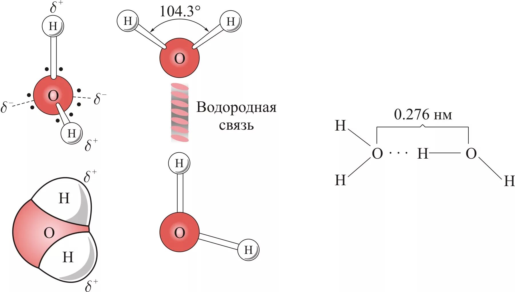 Строение формулы воды