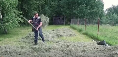 Жесткий сев