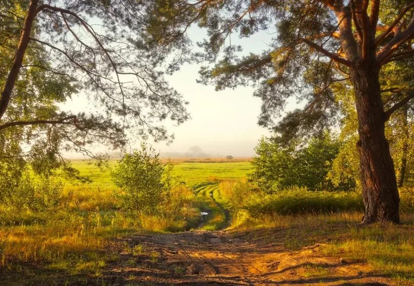 Жаркий август. Природа рассвет. Пейзаж. Конец августа природа. Августовский пейзаж.