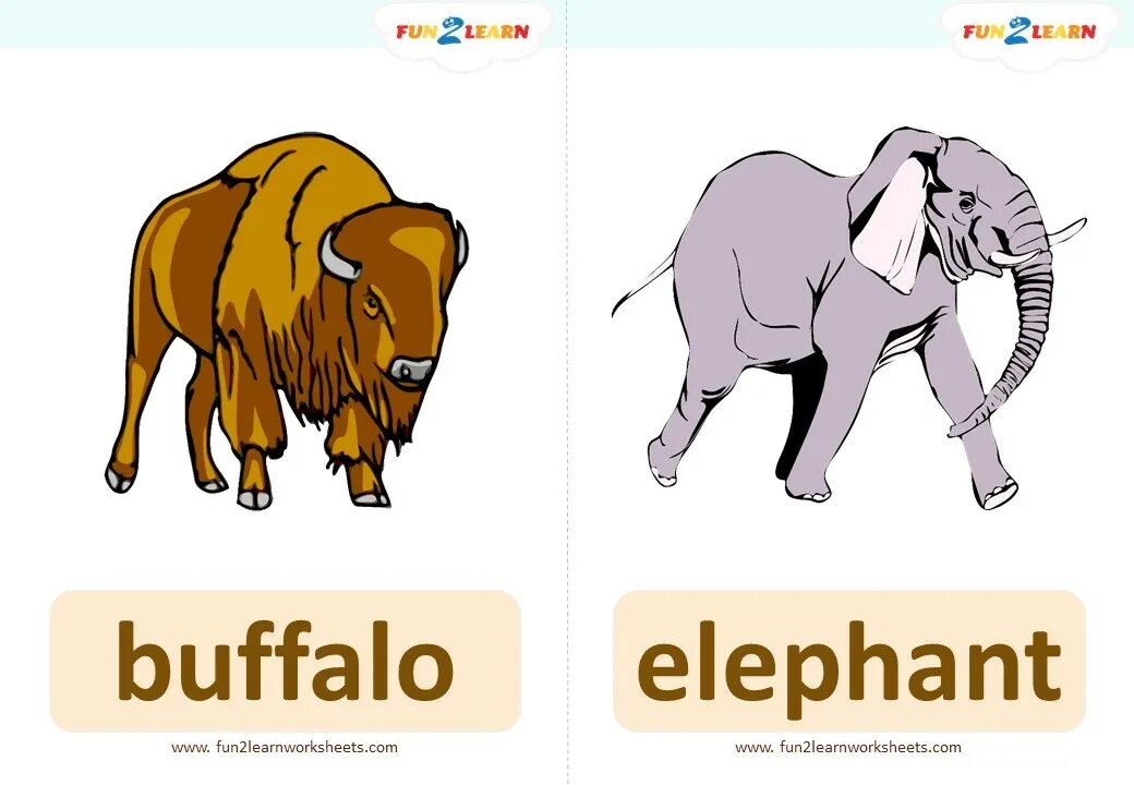 An elephant can t fly. Flashcards for Elephant. Elephant Flashcard. Elephant can't Fly.