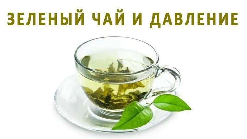 Зеленый чай. Зеленый чай давление. Зеленый чай повышает давление. Зелёный чай повышает или понижает.