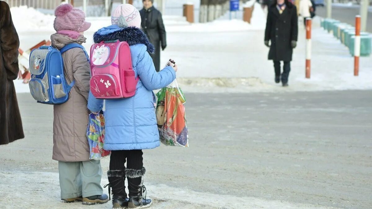 Дети идут в школу зимой. Дети на дороге зимой. школьники на улице зима. пешеход зимой.