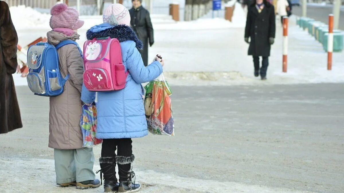 Школьники на улице зима. Школьники идут в школу зимой. Дети идут в школу зимой. Идти в школу зимой. Каникулы продлят до 1