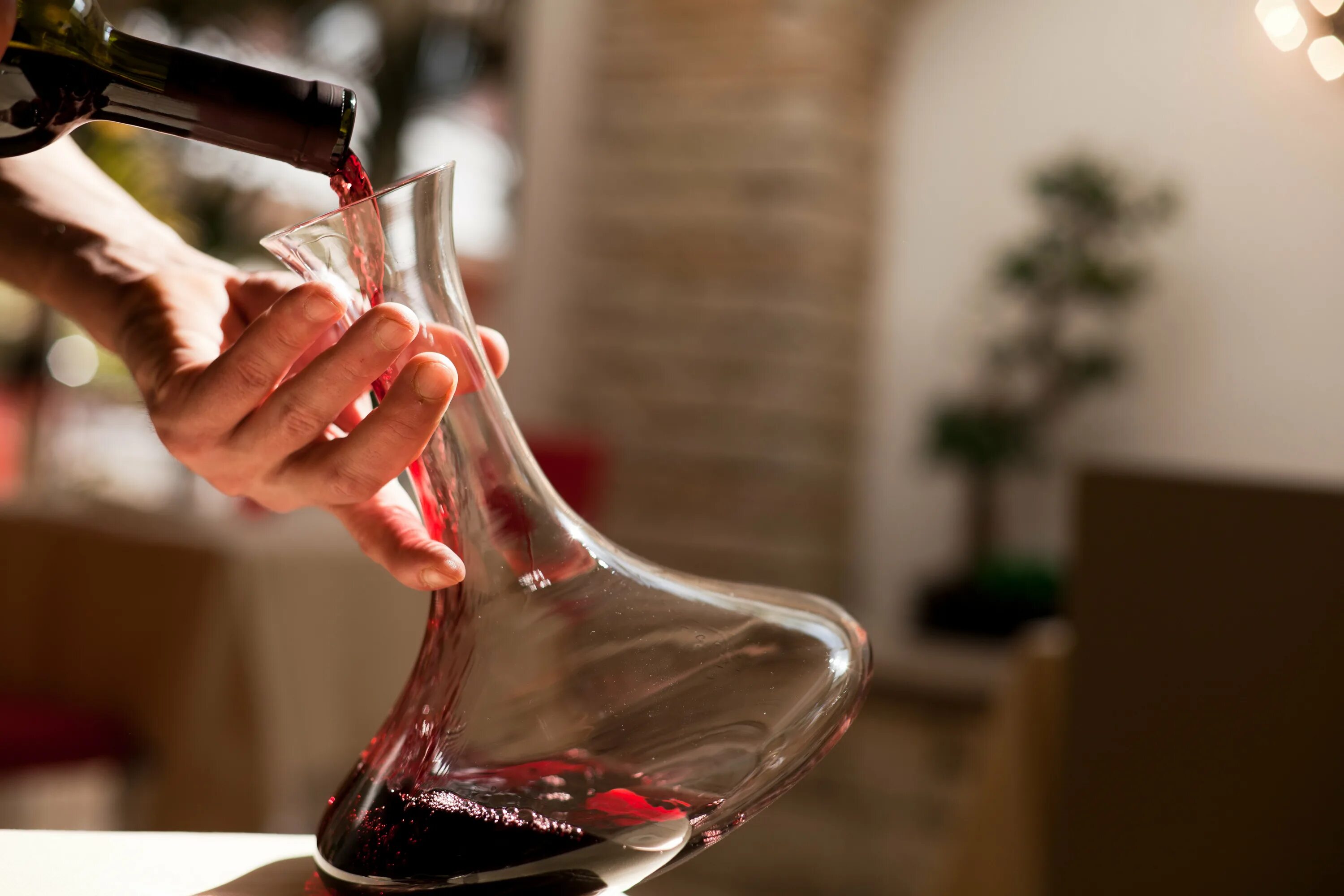 Что такое декантация. Декантация вина. декантер simple wine. декантировали вино. винная колба.